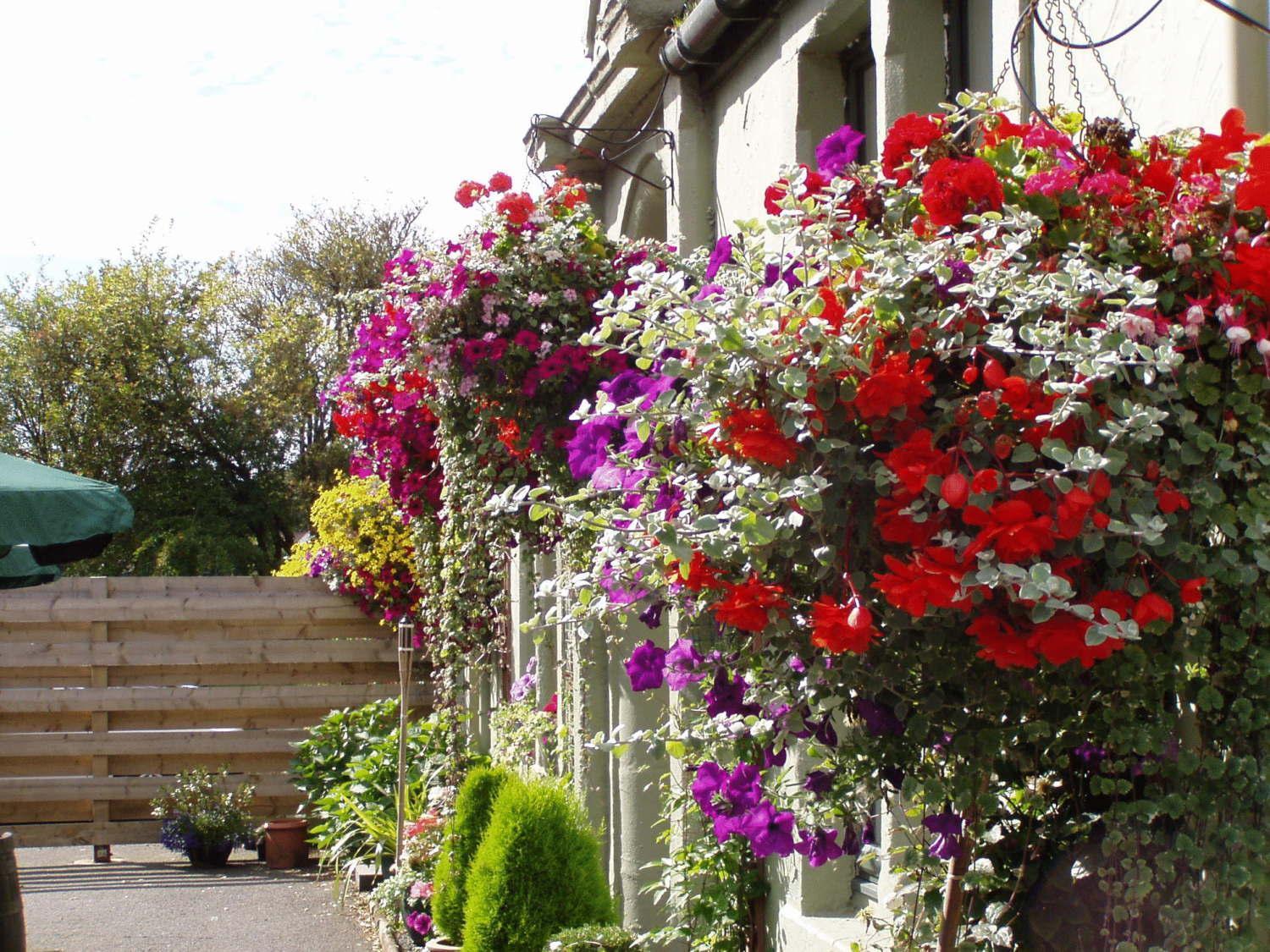 Auld Mill House Hotel Dunfermline Ngoại thất bức ảnh